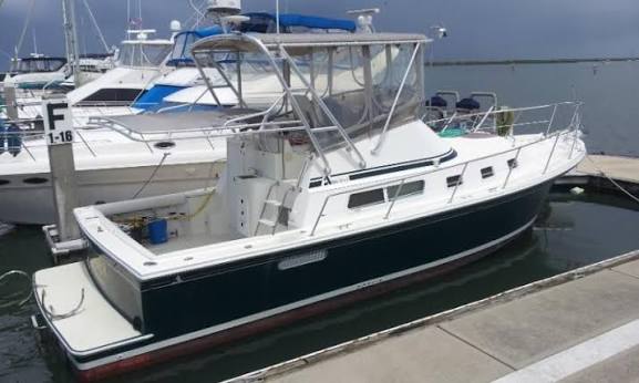 Albin 32+2 Command Bridge